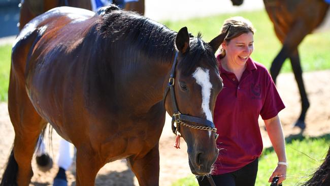 Magic Wand will back-up in the Mackinnon Stakes after running in the Melbourne Cup. Picture: AAP