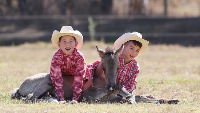 Eight-year-old twins Daniel and Wyatt Wong at Dayboro with Soloman. Picture: Annette Dew