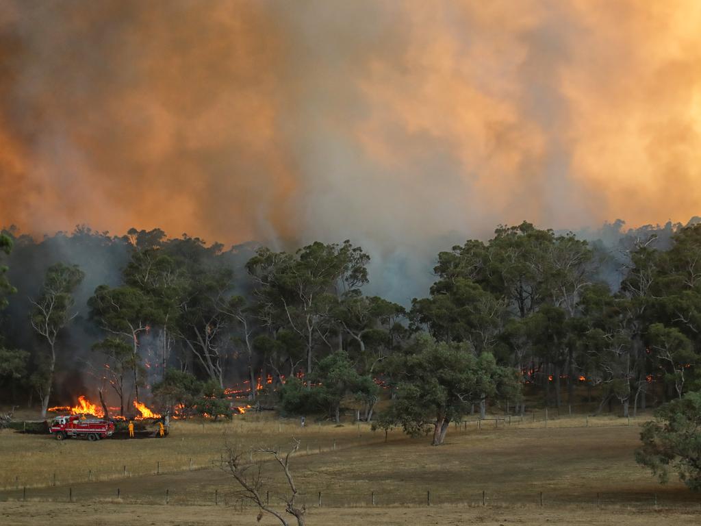 Bushfires an opportunity to better manage our carbon-storing forests ...