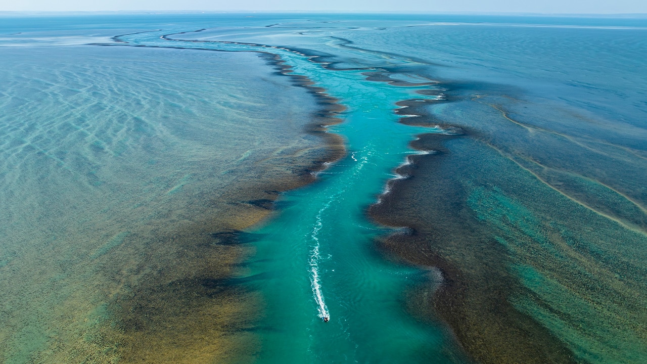 <h2>SEA AND AIR VIEWS</h2><p>Another unique feature of expedition cruises is the opportunity to view landscapes and wildlife from any angle. It could be from the deck or your private balcony, from the air on a helicopter flight or by sea in a Zodiac. Seabourn&rsquo;s new Seabourn Pursuit has all of the above.</p><p>The Australian-owned APT has teamed up with Seabourn to offer the 10-day <a href="https://www.aptouring.com.au/trips/australia/wa/gkkcb10" target="_blank" rel="noopener">Kimberley Coastal Expedition</a> from Darwin to Broome (or reverse). The voyage includes daily Zodiac excursions to edge closer to such magnificence as King George Falls. There&rsquo;s also the chance to view Mitchell Falls on a helicopter tour. There are sailings available in mid-2025.</p>