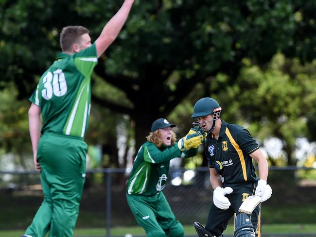 VSDCA: Croydon bowler Hamish Paterson thinks he’s got his man. Picture: Steve Tanner