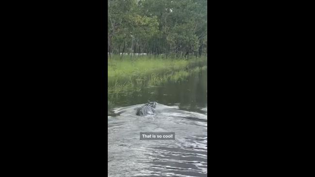 Giant croc spotted on flooded NT road | news.com.au — Australia’s ...