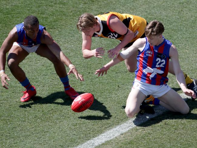 Dandenong Stingrays premiership player Daniel Frampton (middle) will play at Sandringham this year.