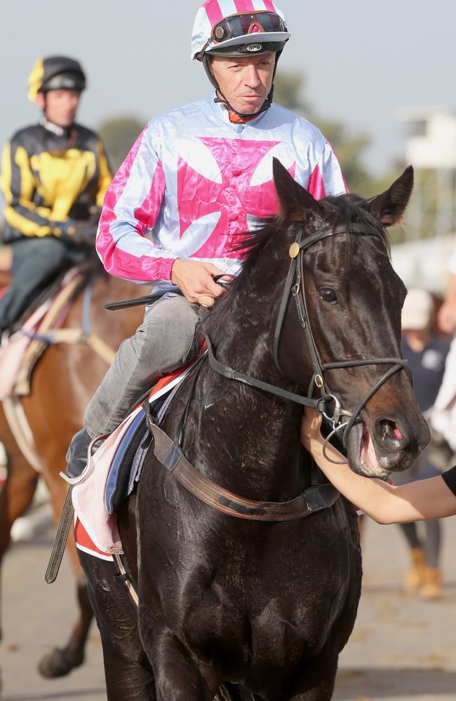 Stradbroke Handicap favourite Azkadellia after her solid but satisflying workout. Picture: Jono Searle