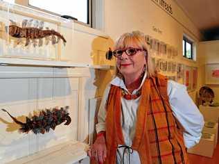 Artist Sue Coburn with an example of her work at a Floating Land exhibition in Boreen Point. Picture: Geoff Potter