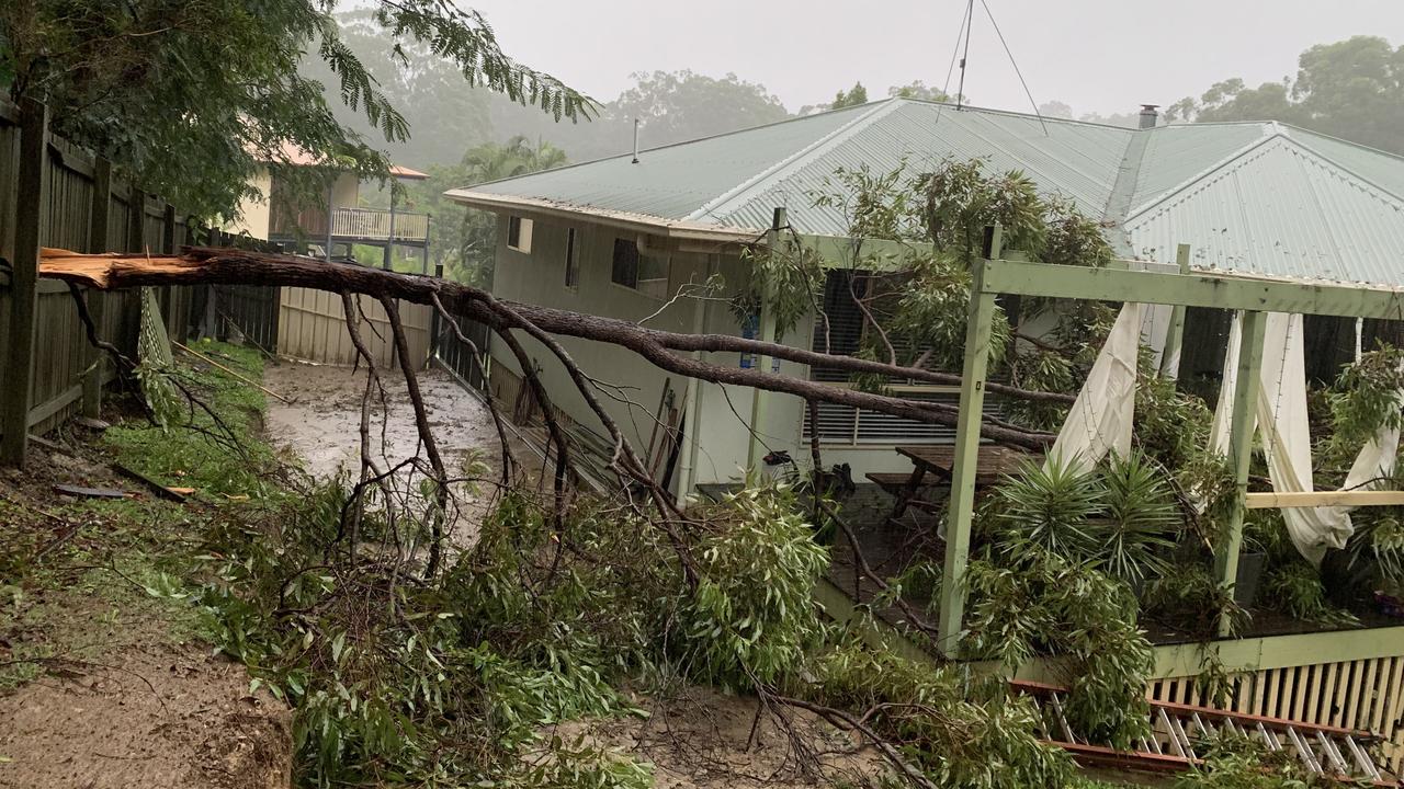 A tree has fallen down over a house in Buderim. Photo: Nadja Fleet