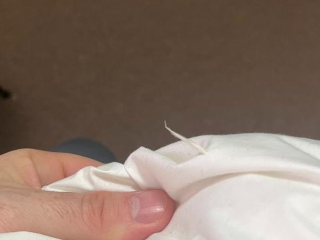 A man has slammed the feather pillows over the sharp quills. Picture: Supplied