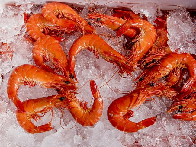 Gold Coast Tiger Prawns .  Picture: Jerad Williams