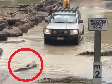 Driver’s ‘scary’ act in croc infested river