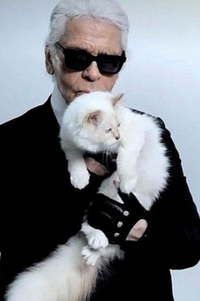 Choupette: the private life of a very public cat – in pictures, Fashion