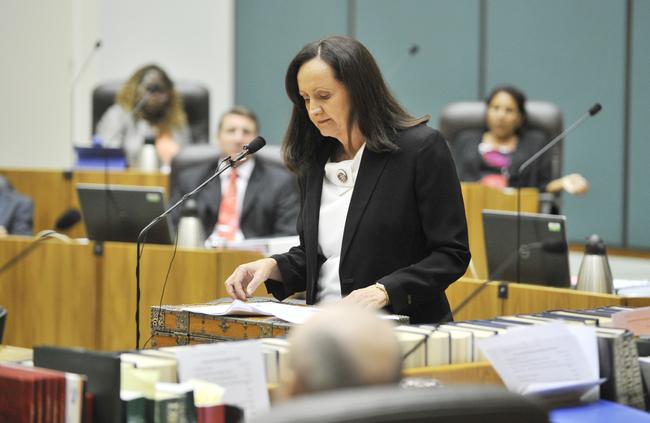 Robyn Lambley told parliament there were big problems with alcohols inspectors at Alice Springs bottle shops. Picture: Daniel Hartley-Allen