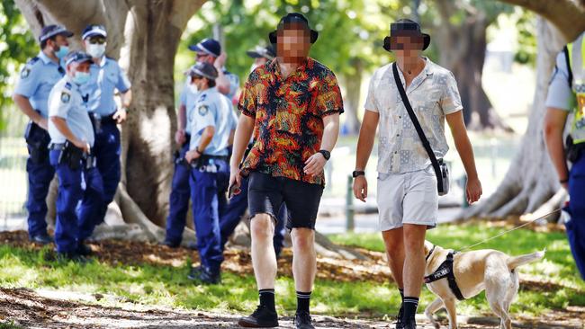 Police and a sniffer dog check members of the public as they arrive for the Field Day Music Festival. There is no suggestion the people in this pictures were in possession of drugs. Picture: Sam Ruttyn