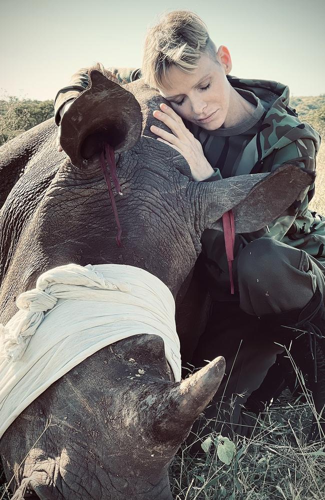 Charlene poses with the tranquillised rhino. Picture: Christian Sperka