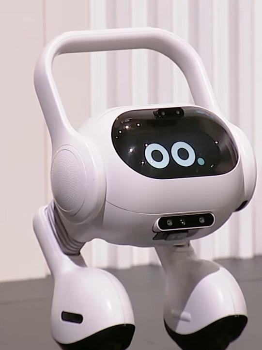 LG's smart home robot assistant.