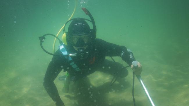 Sydney treasure hunter plunges underwater for lost valuables | Daily ...