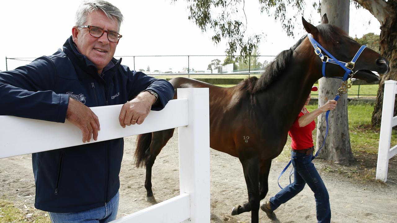 Melbourne Cup 2014: Simon O’donnell’s Endless Early Mornings In His 