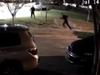 Horror duck attack caught on camera