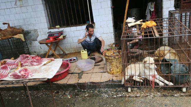 Live animal markets like this one in Guangzhou, southern China have been blamed for new infectious diseases like SARS and avian flu. Picture: KY Cheng/South China Morning Post via Getty Images