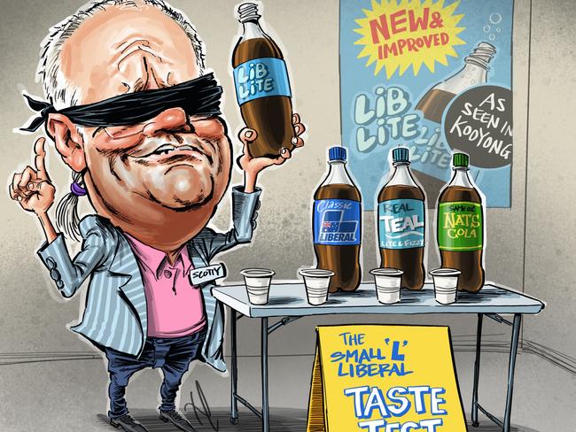 Joe Hildebrand Opinion column artwork. Former PM Scott Morrison's idea for a new Liberal 'lite' brand to recapture the Teal vote is a mistake. By Terry Pontikos