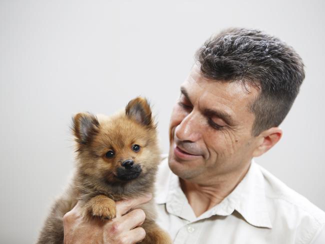 Protest at Kellyville Pets over puppy farm Daily Telegraph