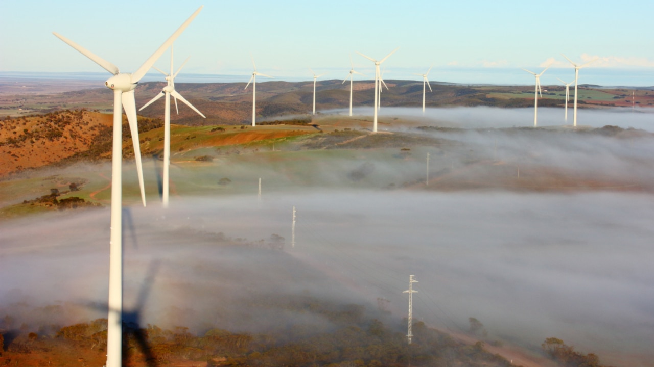 Wind farm projects to cause ‘immense’ damage to environment