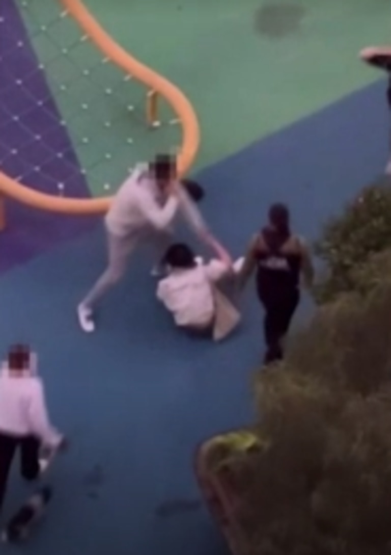A woman with her dog was seen rushing over to help. Picture: ABC