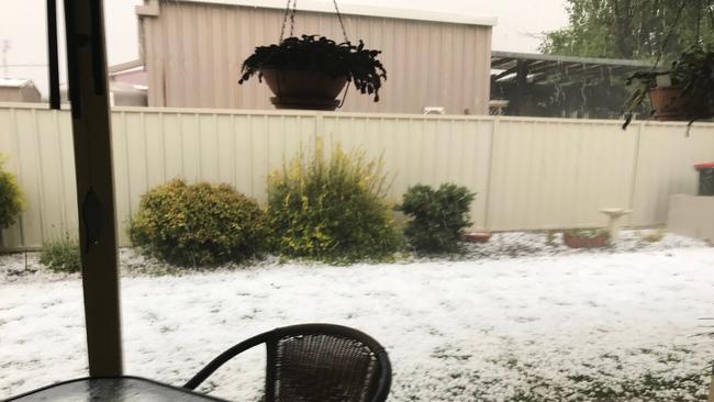 Golf ball sized hail has struck Tamworth. Picture: Gerda Fitzgibbon.