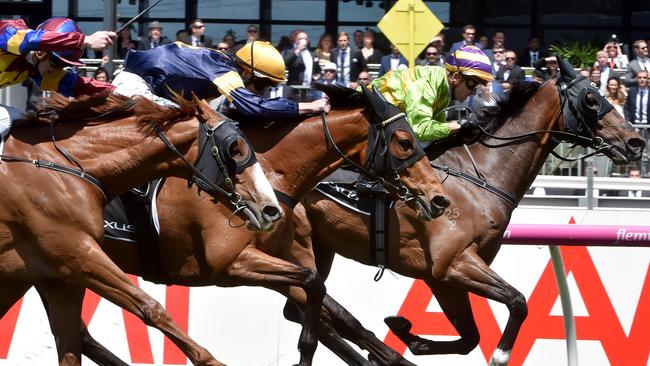 Cismontane won the Lexus Stakes last Saturday but will find the Cup tougher. Picture: Jay Town