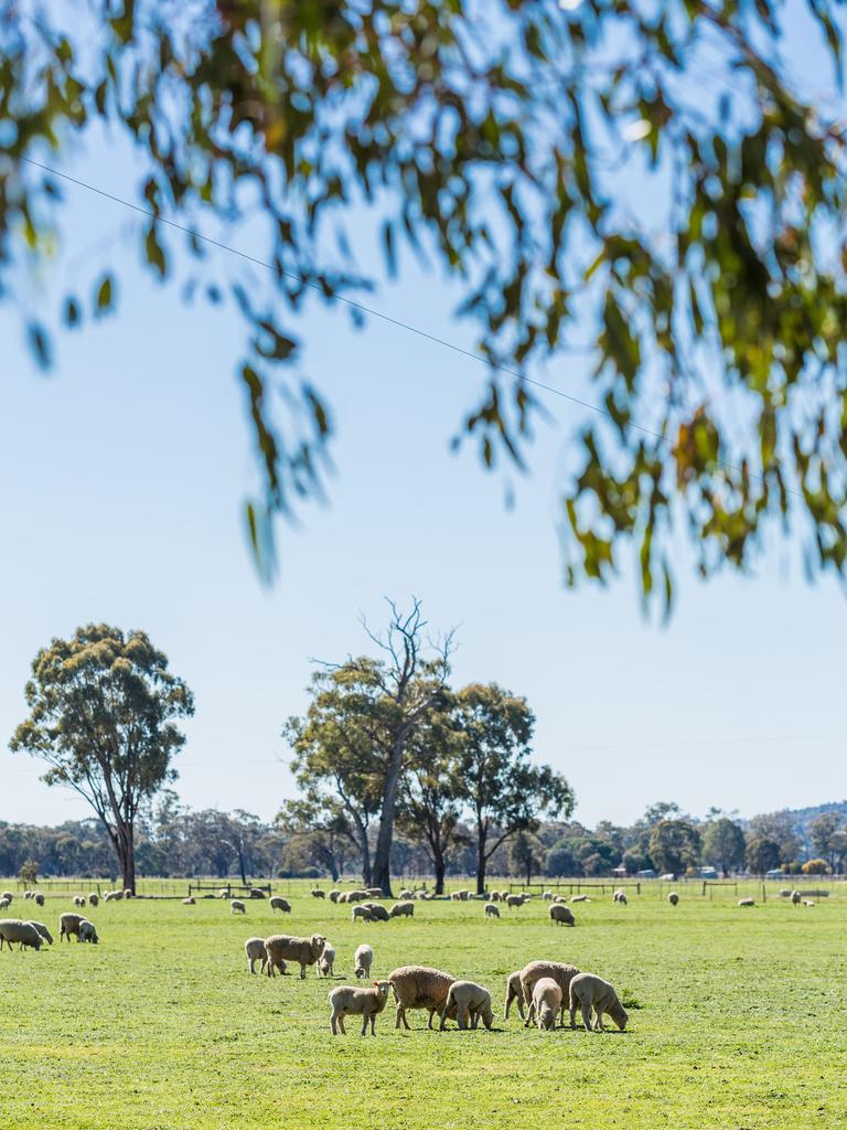 The unique home sits on 24 hectares. Photo: Chloe Smith.