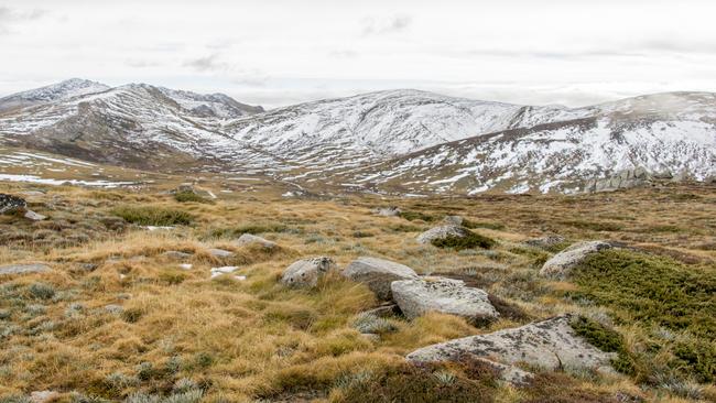 Kosciuszko National Park