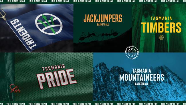 Artwork mocked up for the shortlist of Tasmanian NBL Basketball Team names