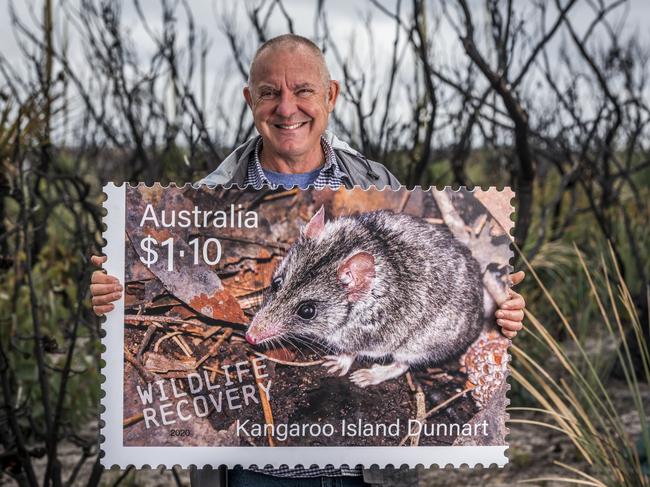 Peter Hammond, 60 of Karatta on Kangaroo Island (near Flinders Chase National Park) with an oversized Australia Post Wildlife Recovery series postage stamp featuring his photograph of the Kangaroo Island dunnart. Pictured next to one of the six artificial tunnels built to provide safe refuge for the species on his property, after the bushfires Credit: Sean McGowan