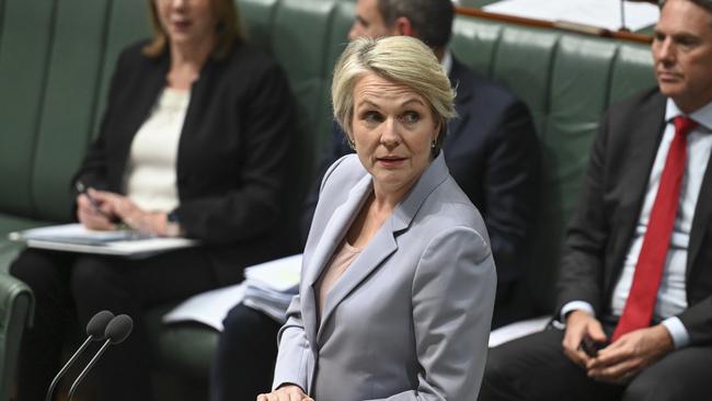 CANBERRA, Australia, NewsWire Photos. June 6, 2024: Minister for the Environment and Water Tanya Plibersek during Question Time at Parliament House in Canberra. Picture: NewsWire / Martin Ollman