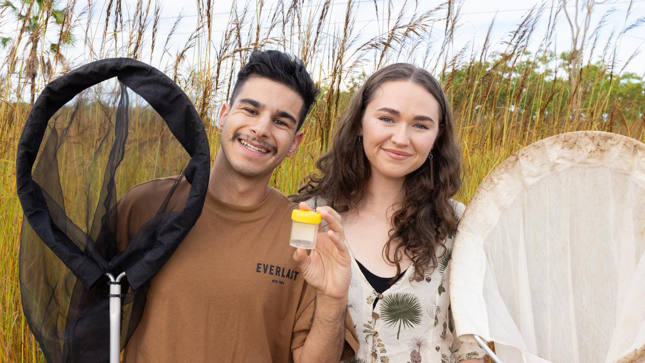 Wild wasp chase leads to unexpected discovery for photographers