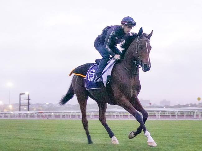 James McDonald rides internationally-trained Lexus Melbourne Cup hopeful Loft for the first time ahead of next Tuesday?s Lexus Melbourne Cup during trackwork at Flemington Racecourse on October 25, 2022 in Flemington, Australia. (Photo by Scott Barbour/Racing Photos via Getty Images)