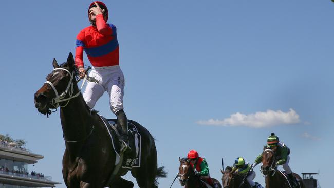 Verry Elleegant ridden by James McDonald crosses the line to win last year’s Melbourne Cup. Photo by Michael Klein.