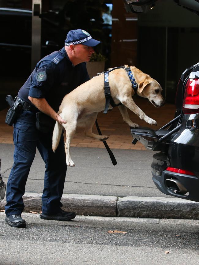 A NSW Police sniffer dog inspected the Obamas’ cars before they left their hotel. Picture: Gaye Gerard