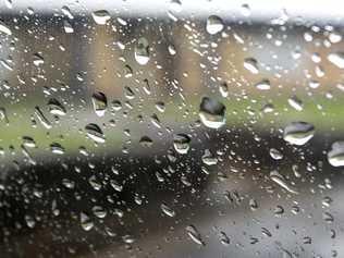 Rain Drops. Photo: John Gass / Daily News. Picture: John Gass /TWE270112raindrop