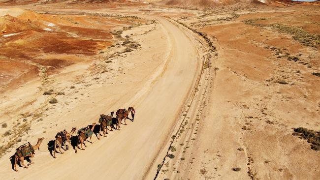 Sophie and the camels underwent no physical training to prepare.