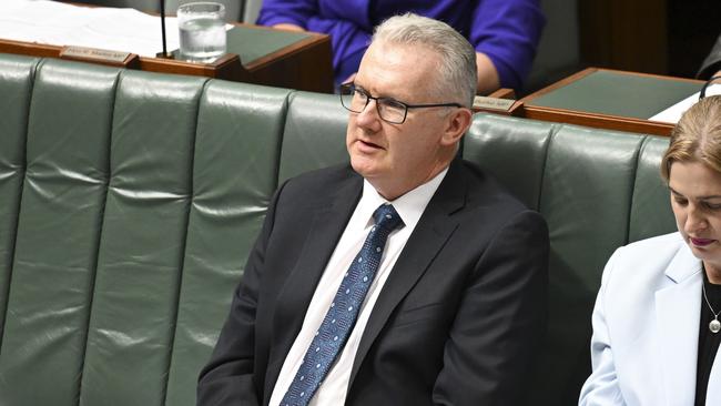 Immigration Minister Tony Burke said the new list would bring in the workers necessary to tackle the housing crisis. Picture: NewsWire/ Martin Ollman