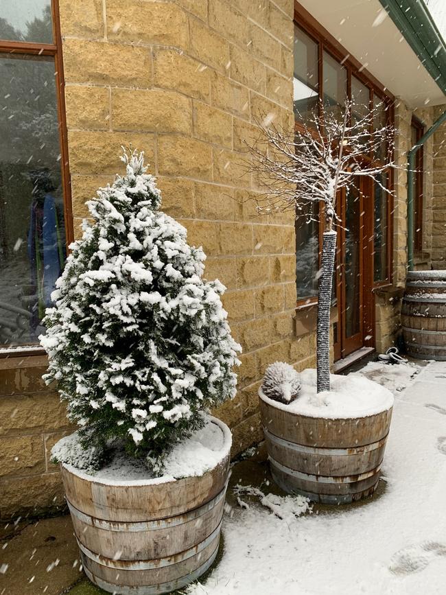 Snow falling thick and fast in Fern Tree, in Hobart, Tasmania on August 4, 2020. Picture: Iain Kelly