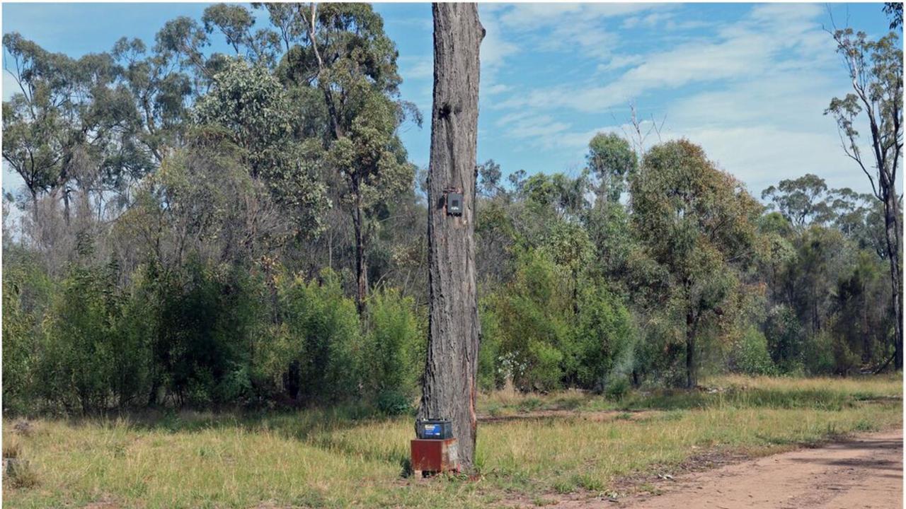 A camera mounted onto a tree at the start of the Train’s driveway plugged into a battery.