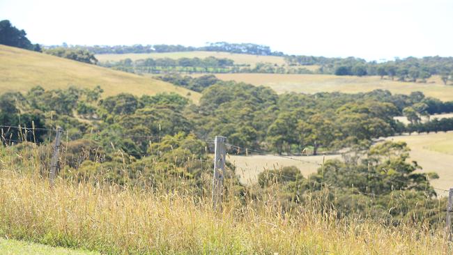 Spring Creek looking towards Duffields Road and Jan Juc. Picture: Alan Barber