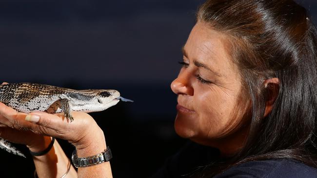 Sonja Elwood — with a blue tongue lizard being rehabilitated — is one of the founding members of Sydney Wildlife, which started in 1997.