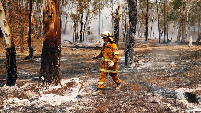 The fire front burning through Ben Bullen on Saturday afternoon. Picture: Sam Ruttyn