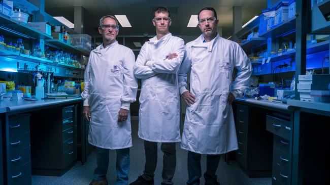 Professor Paul Young, Dr Keith Chappell and Professor Trent Munro in a lab at The University of Queensland. Picture: Glenn Hunt