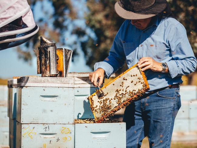 A sizeable proportion of the foods and other grocery items Australians buy every day are made in regional Australia.