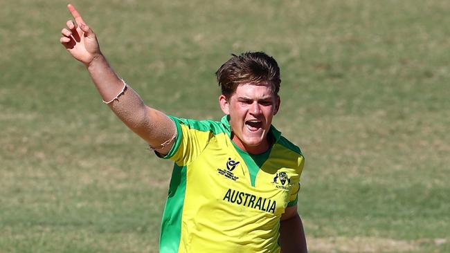 Former Grafton junior Aidan Cahill celebrates taking a wicket against Pakistan during the U19 Men's Cricket World in the West Indies late last month. Picture: Getty Images