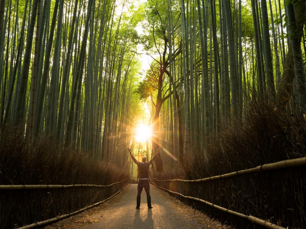 <h2>Bamboo Forest, Kyoto</h2><p>Once a summer retreat for Japan&rsquo;s elite, attractive Arashiyama village at the foot of Kyoto&rsquo;s western mountain range is a year-round tourism hotspot for shopping, dining and cafe-hopping but the main attraction is a gently swaying grove of towering bamboo. The refreshing green oasis offers shade and relief from extreme heat and humidity, if only metaphorically. Arrive early morning to avoid coach armies and peacefully stroll along its central path, stepping off for temples, gardens and river boating.</p><p><strong>Book it: </strong><a href="https://travel.escape.com.au/activities/detail/traversing-kyotos-scenic-west-arashiyama-to-kinkakuji?p=1&amp;c=9582P87" target="_blank" rel="noopener">Traversing Kyoto's Scenic West - Arashiyama to Kinkakuji, from $273.</a></p>