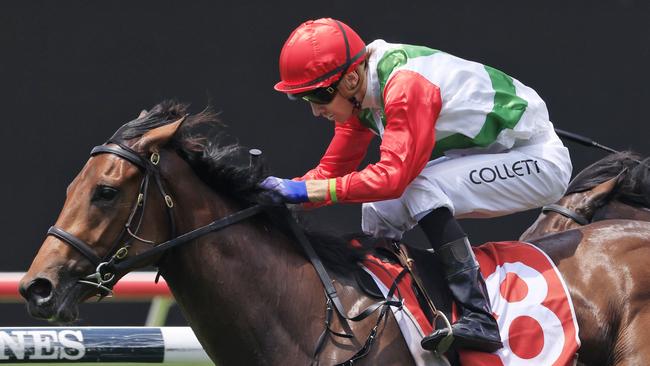 Jason Collett partners Midori Beauty for Bjorn Baker. Picture: Getty Images